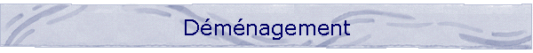 Dmnagement
